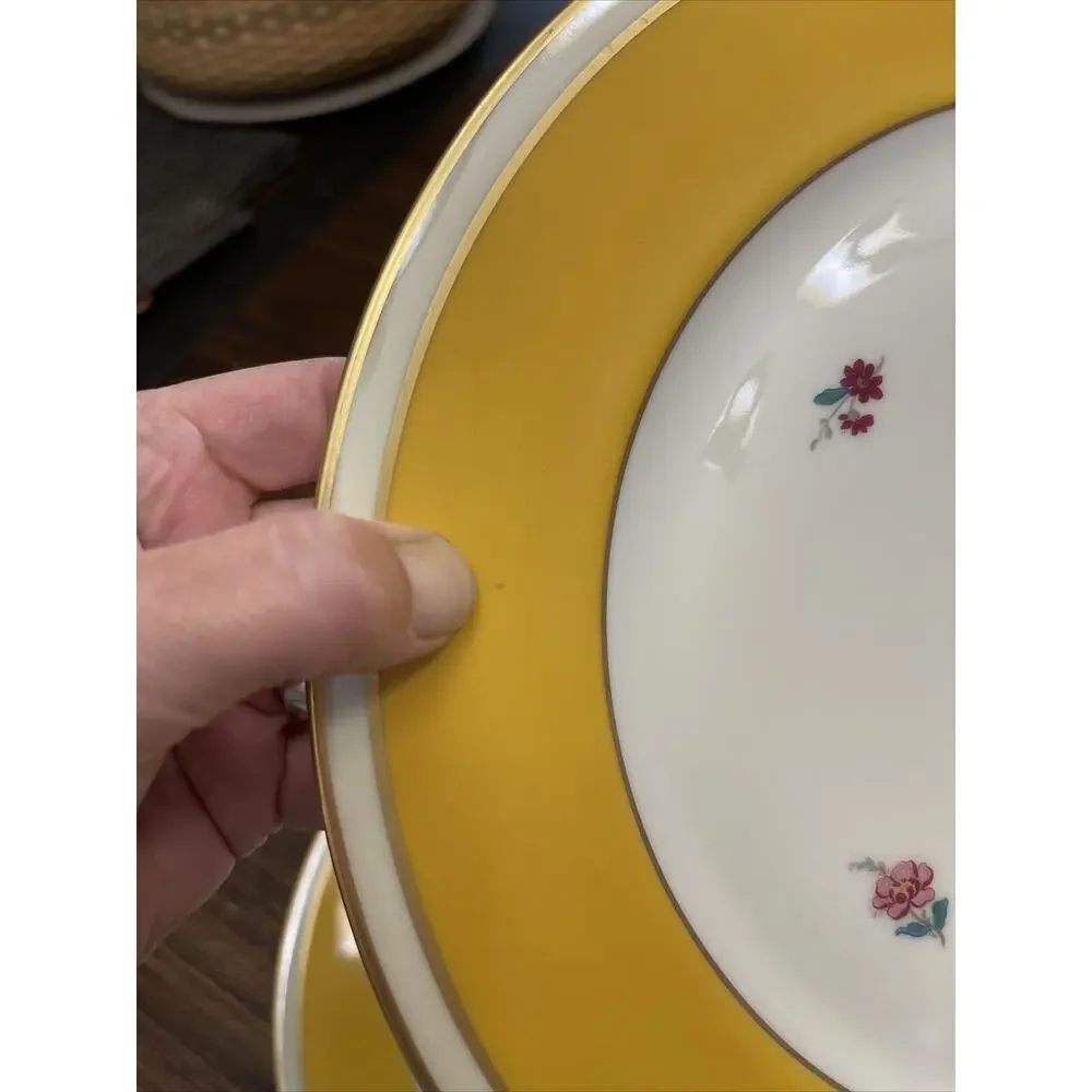 Furstenberg Porcelain Vintage Dinner Plates Yellow Gold Flowers Germany